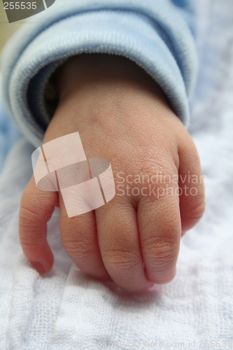 Image of Baby's hand