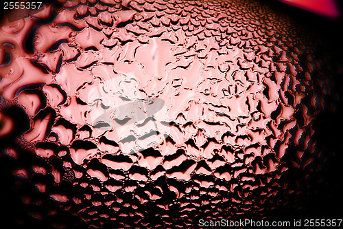 Image of Green drops of water - light from backside. Macro