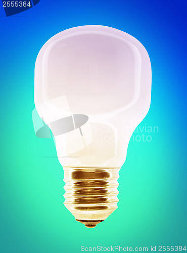 Image of White bulb