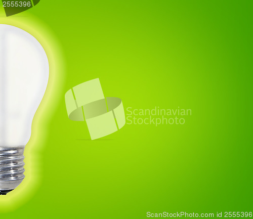 Image of White bulb