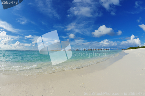 Image of tropical beach