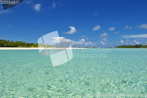 Image of tropical beach