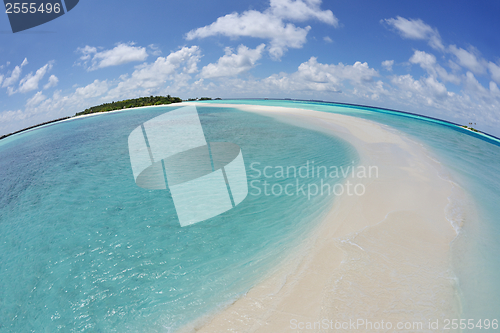 Image of tropical beach