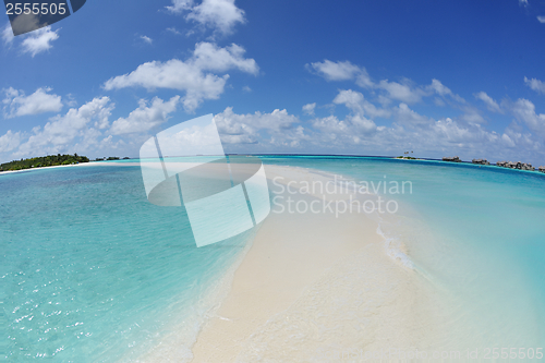 Image of tropical beach