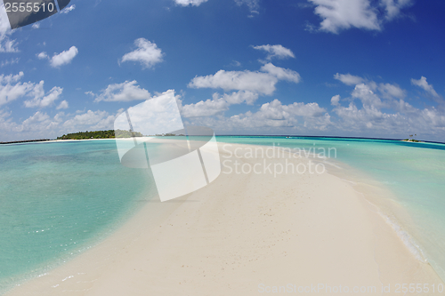 Image of tropical beach