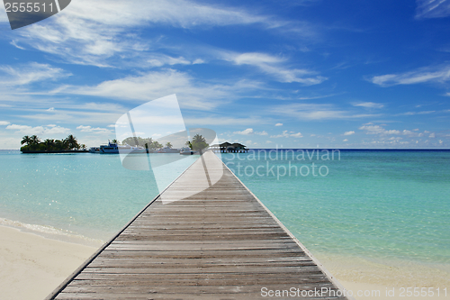 Image of tropical beach