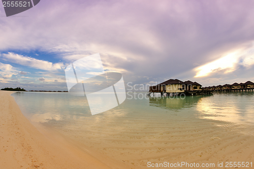 Image of tropical beach