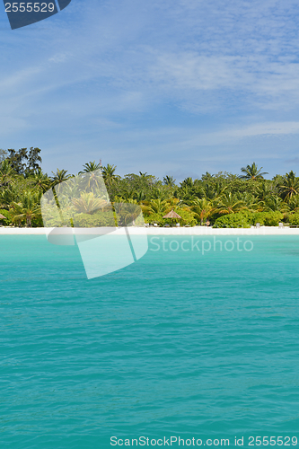 Image of tropical beach