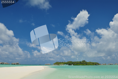 Image of tropical beach