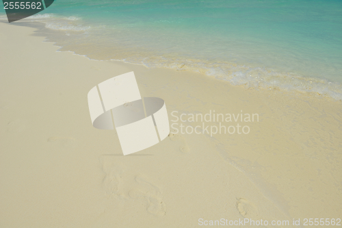 Image of tropical beach