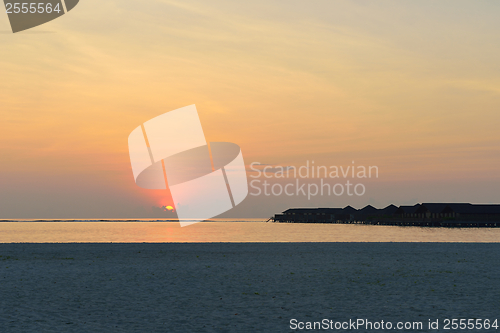 Image of tropical beach