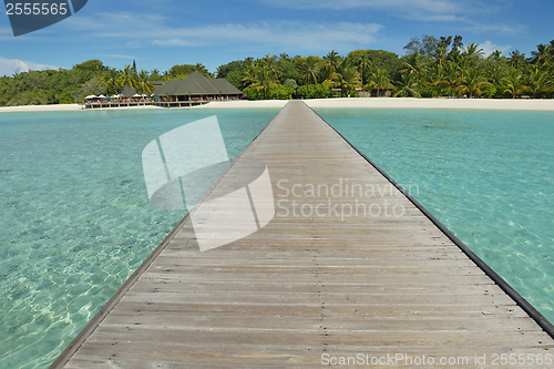 Image of tropical beach