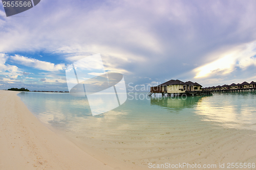 Image of tropical beach