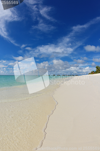 Image of tropical beach