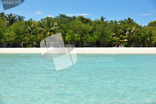 Image of tropical beach