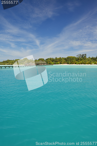 Image of tropical beach