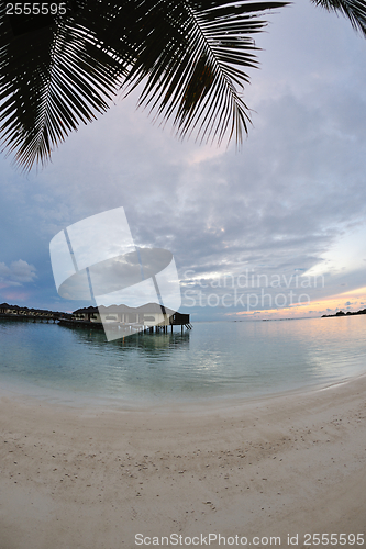 Image of tropical beach