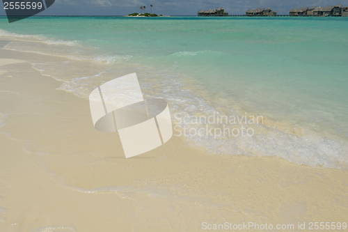 Image of tropical beach