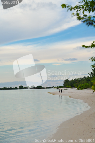 Image of tropical beach
