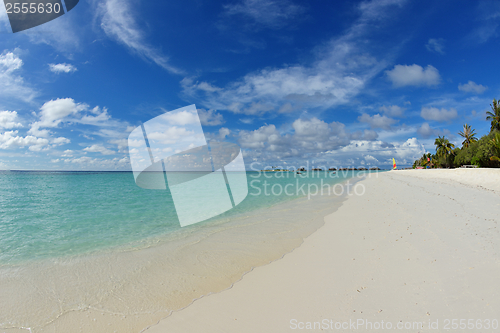 Image of tropical beach