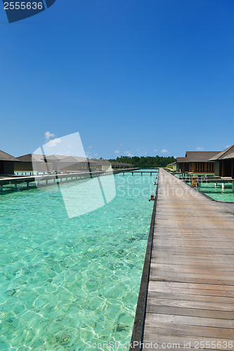Image of tropical beach