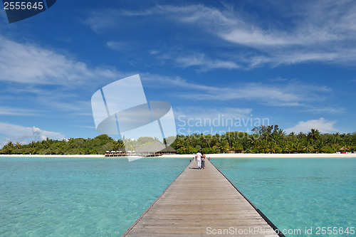 Image of tropical beach