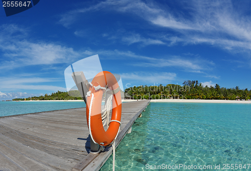 Image of tropical beach