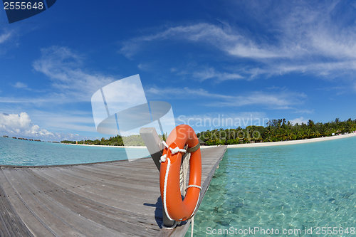 Image of tropical beach