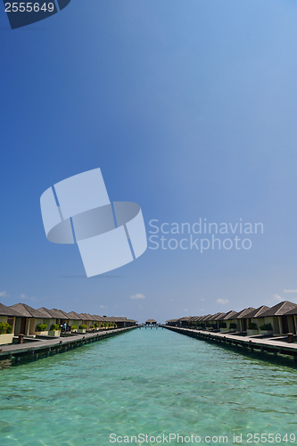Image of tropical beach