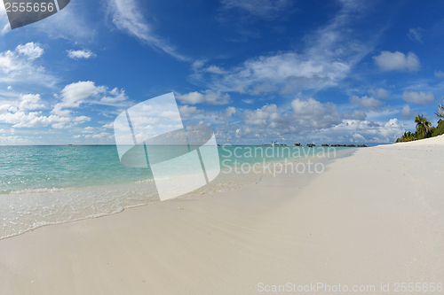 Image of tropical beach