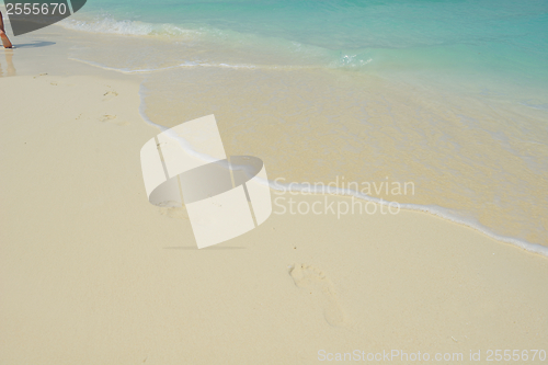 Image of tropical beach