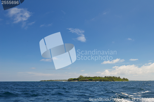 Image of tropical beach