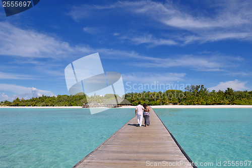 Image of tropical beach