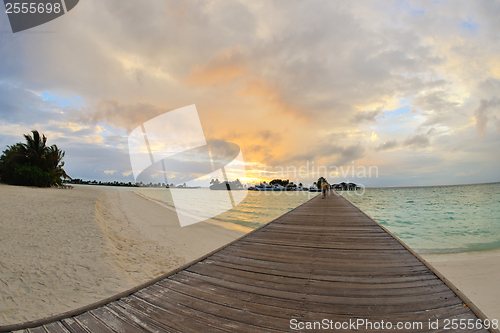 Image of tropical beach