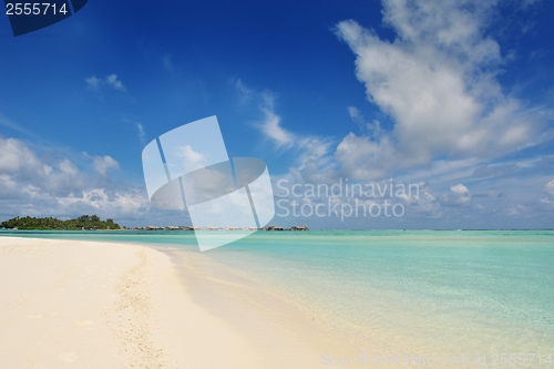 Image of tropical beach