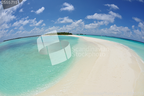 Image of tropical beach