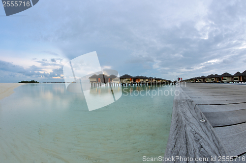 Image of tropical beach