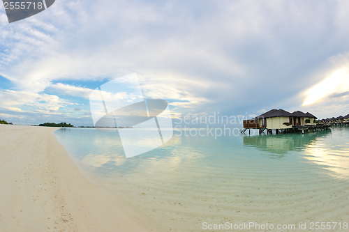 Image of tropical beach