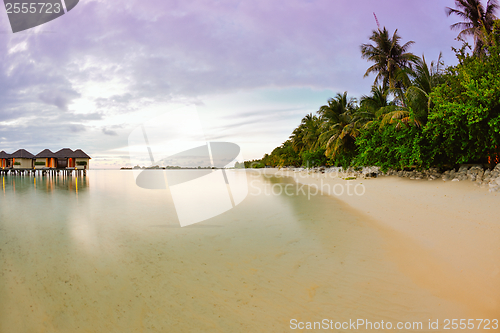 Image of tropical beach