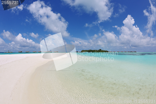 Image of tropical beach