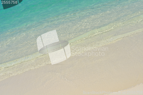 Image of tropical beach