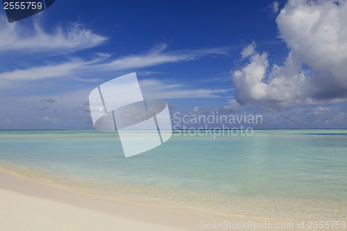 Image of tropical beach