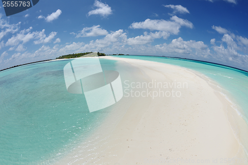 Image of tropical beach