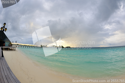 Image of tropical beach