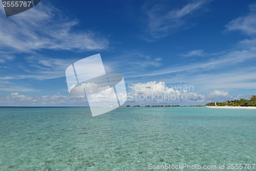 Image of tropical beach