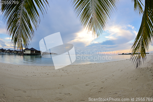 Image of tropical beach