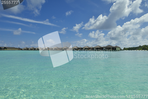 Image of tropical beach