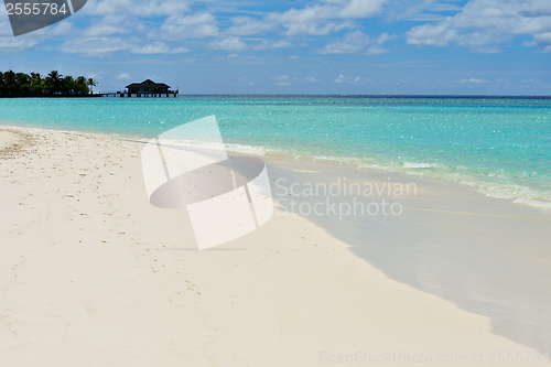 Image of tropical beach