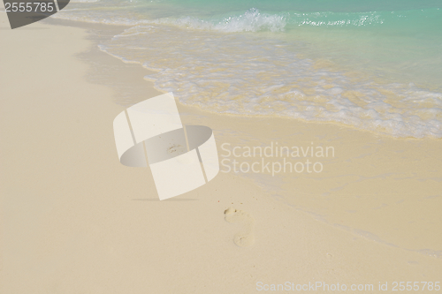 Image of tropical beach