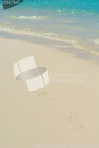 Image of tropical beach